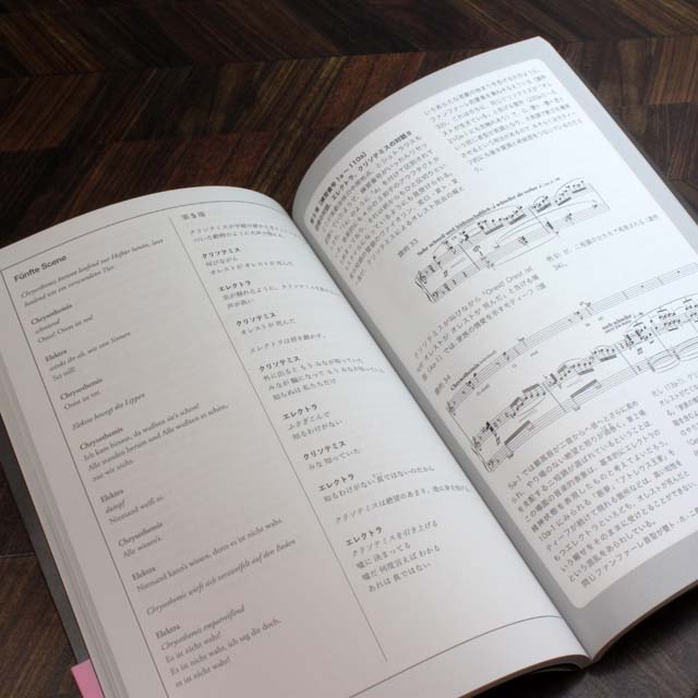 楽劇 《エレクトラ》 オペラ対訳×分析 音楽書籍 音楽雑貨 音楽グッズ 音楽ギフト 